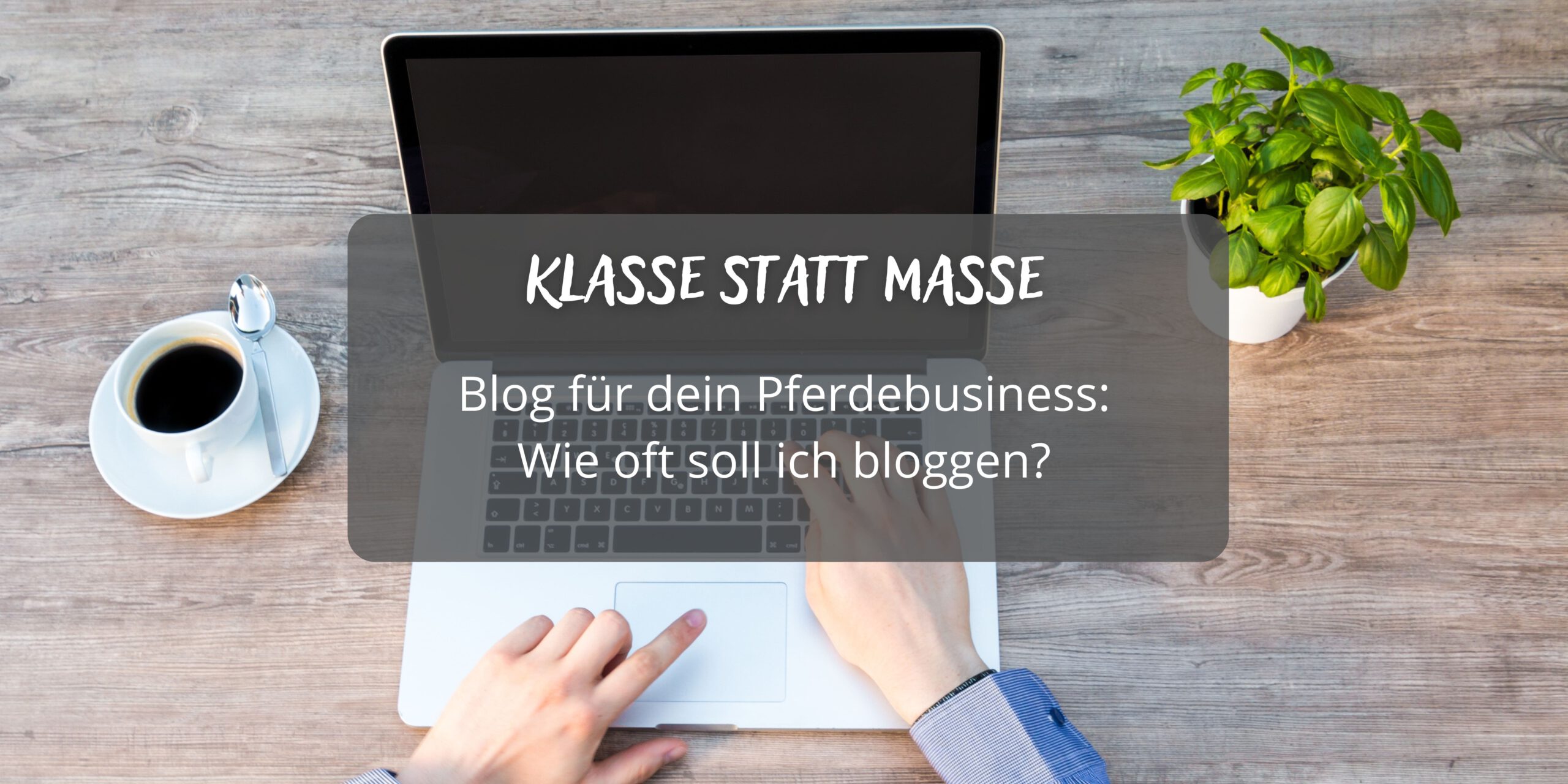 Titelbild Wie oft soll ich für mein Pferdebusiness bloggen?