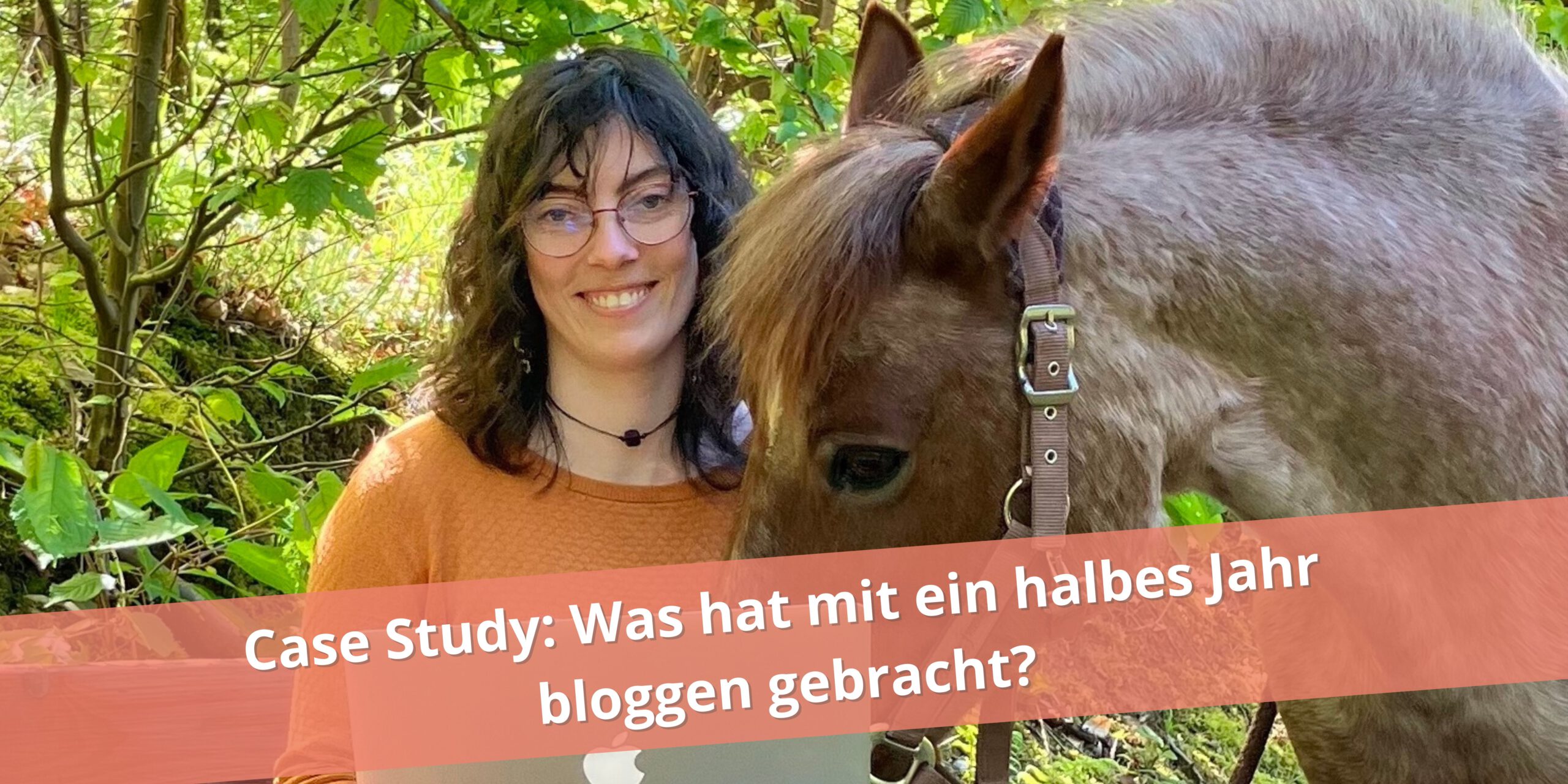 Case Study - Halbes Jahr bloggen